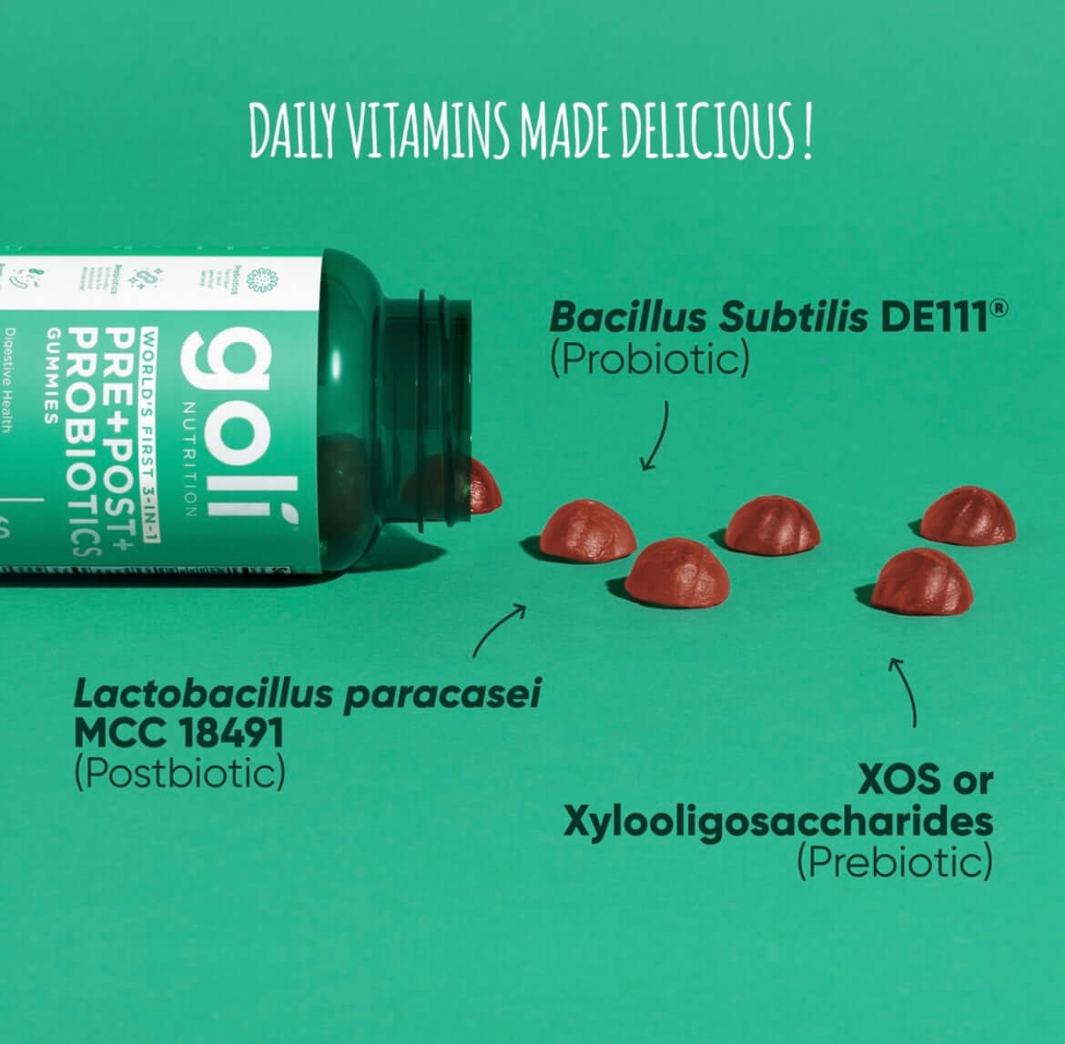 Buy Goli Nutrition Pre+Post+Probiotics Gummies at PHYTAMINS.AE