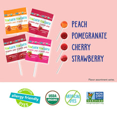 ORGANIC FRUIT POPS VITAMIN C (14) PCS 87G