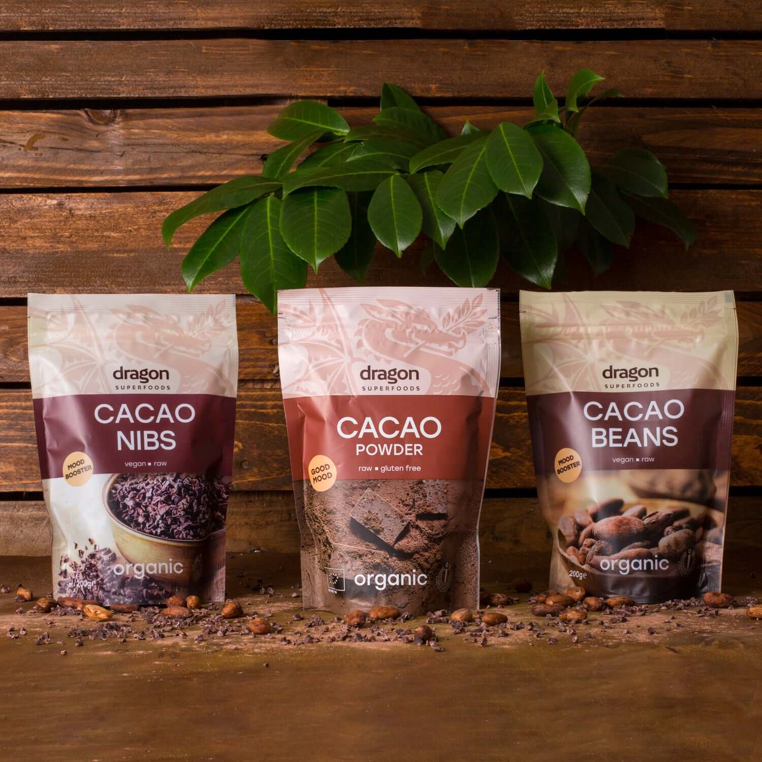 Buy Dragon Superfoods Cacao Powder Criollo Raw 200g at PHYTAMINS.AE