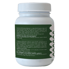 Buy Dragon Superfoods Spirulina Tablets 80g at PHYTAMINS.AE