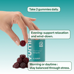 WELLNESS ASHWAGANDHA