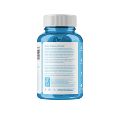Buy Goli Nutrition Ashwagandha Zero Sugar Gummies at PHYTAMINS.AE
